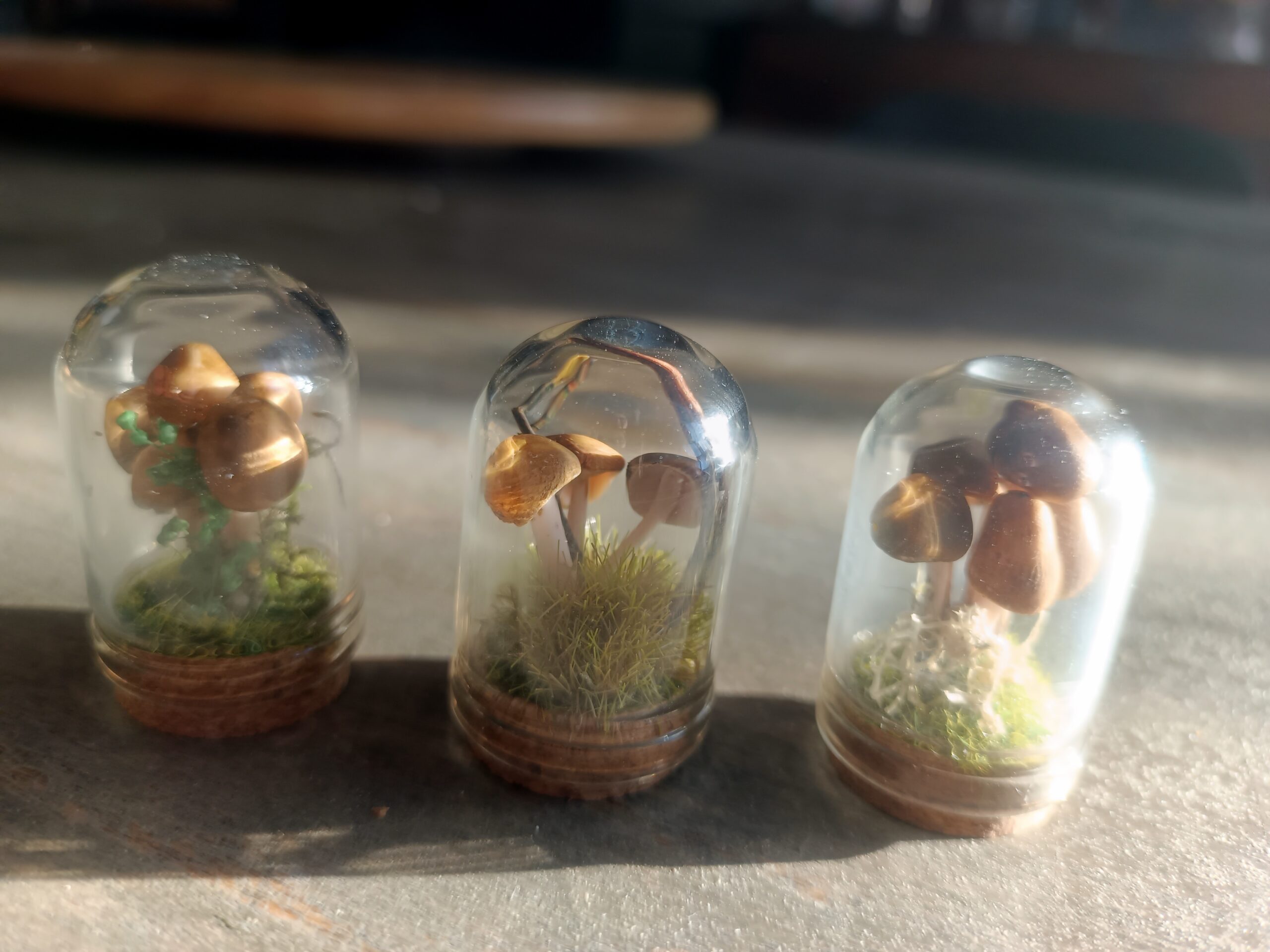 Mini dômes « famigliole »