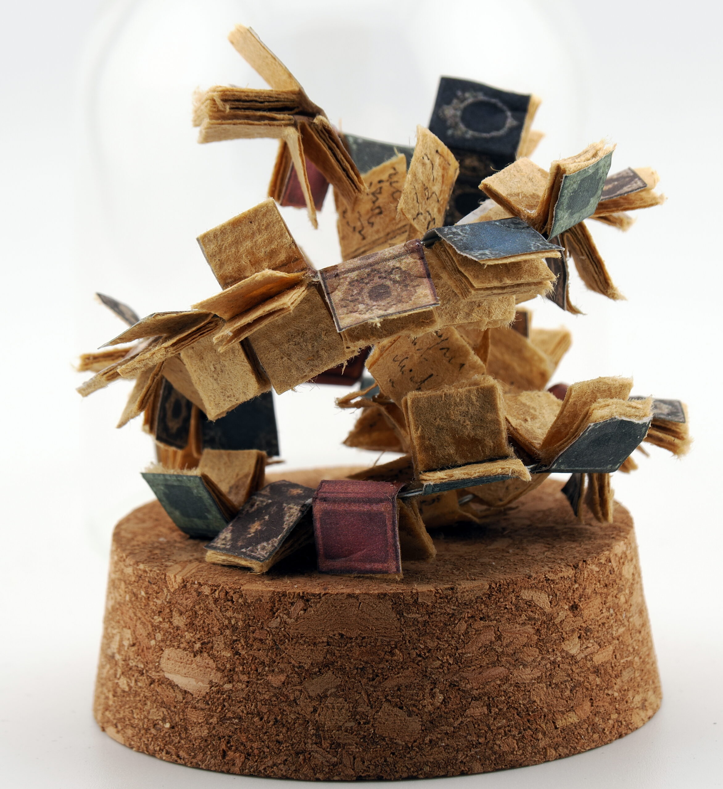 Le salon du livre d&rsquo;automne